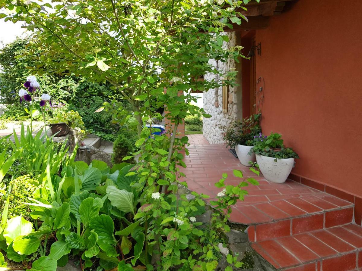 Mediterran Apartman Печ Екстериор снимка