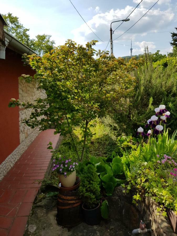 Mediterran Apartman Печ Екстериор снимка